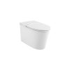 Bồn cầu American Standard WP-3232